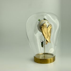 Birdy3